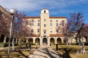 Dallas Theological Seminary marks first semester of Arabic-language courses