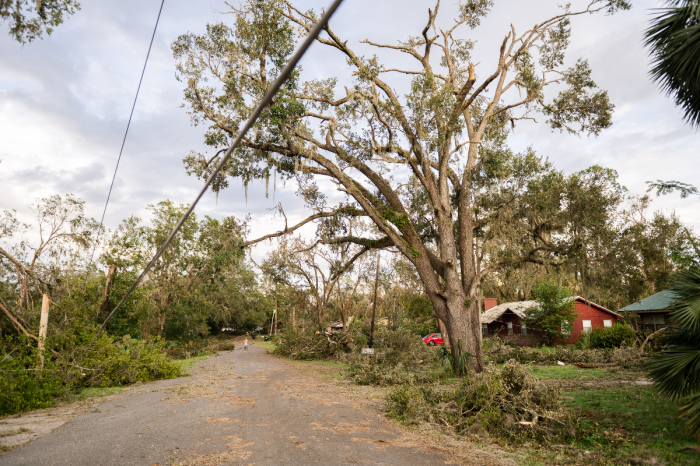 Snapped trees and downed power lines cover a Florida street in the aftermath of Hurricane Idalia. 