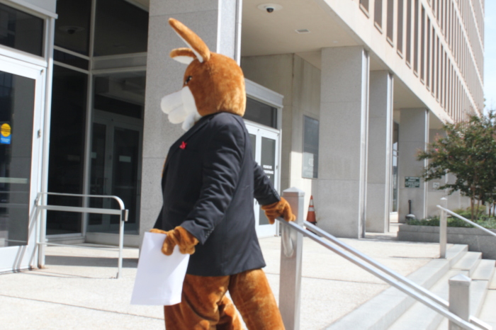 A kangaroo mascot climbs the steps to the U.S. Department of Education in Washington, D.C., on Sept. 21, 2023, holding a letter calling for the resignation of Assistant Secretary for Civil Rights at the U.S. Department of Education, Catherine Lhamon. 
