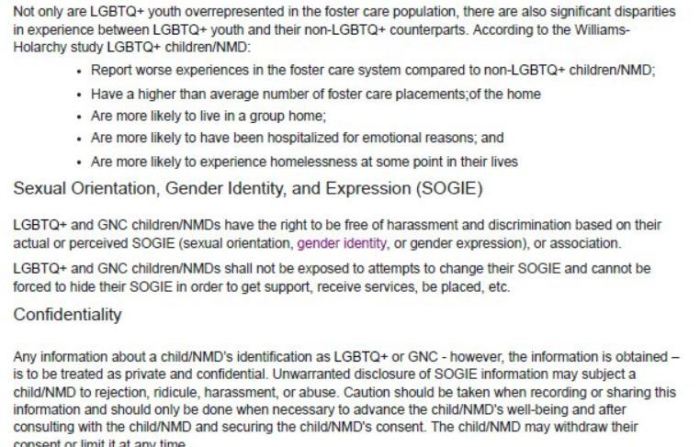 A screenshot of a page under the DCFS open bids and solicitations section which appears to prohibit any efforts to expose children to 'attempts to change' their gender identity or 'sexual orientation.'