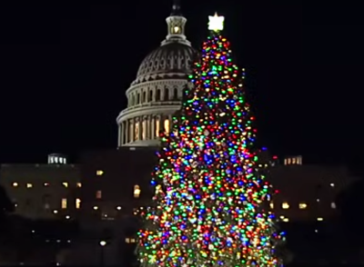 The 2023 U.S. Capitol Christmas Tree is lit for the first time in a ceremony on the West Front Lawn of the U.S. Capitol in Washington, D.C., on Nov. 28, 2023. 