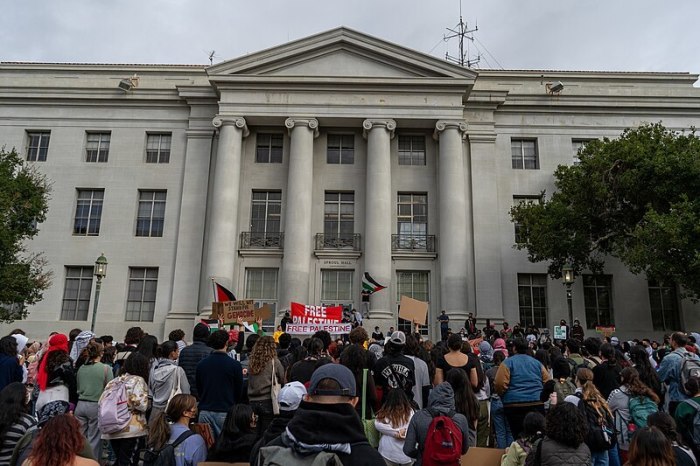 Demonstrators hold signs and flags at a pro-Palestinian protest in front of Sproul Hall at the University of California Berkeley in October 2023. 