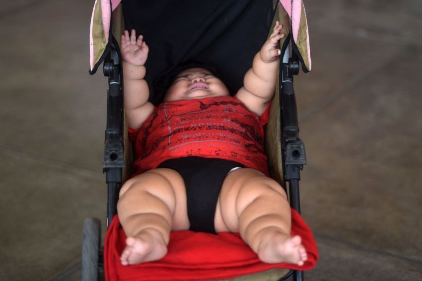 Ten-month-old Luis Gonzales is pictured in his stroller at a bus station in Colima city, Mexico on November 9, 2017.
