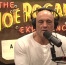 Imagine Joe Rogan visiting with John the Baptist
