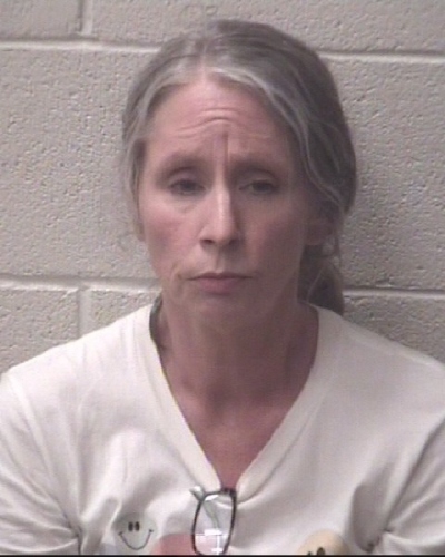 Carol C Gomez, 57, of Stony Point, North Carolina, was arrested on charges of larceny by an employee of First Baptist Church in Taylorsville, on July 29, 2024. 