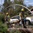 Grandparents found hugging each other after fallen tree killed them in SC home; Helene death toll rises 