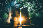 How can you know if your dreams are prophetic or not?
