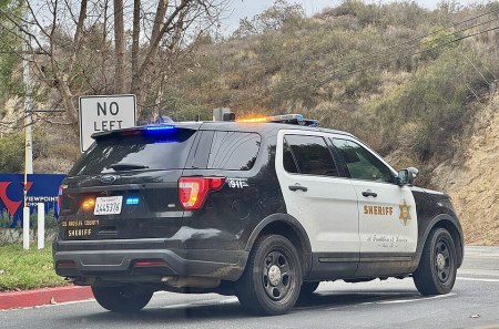 Public Domain/CODE 4