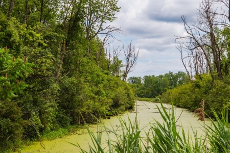 A portion of the original Erie Canal in Rome, New York. 