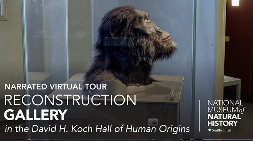A screenshot of a video of David Koch Hall of Human Origins at the Smithsonian Museum in Washington, DC.