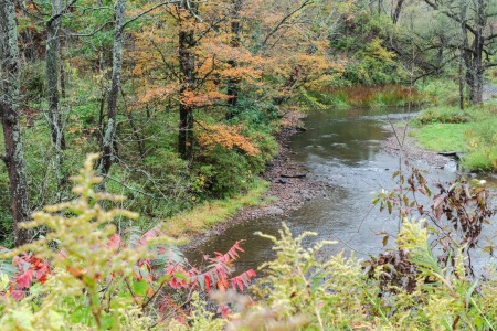Fall colors in Otsego County, New York.