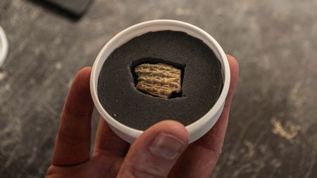 Researchers in Israel examine a rare Assyrian sealing discovered next to the Western Wall during an Israel Antiquities Authority (IAA) excavation in cooperation with the City of David Foundation.