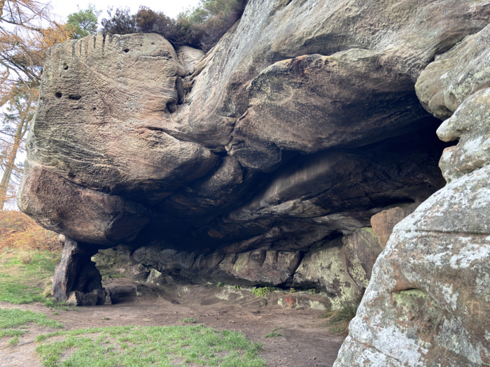 Francesca Leslie/iStock