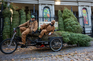 ‘They give up their holiday so others can celebrate’: Doc spotlights unsung Christmas tree vendors of NYC