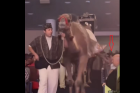 Woman suffers dangerous camel kick during megachurch’s Christmas Spectacular