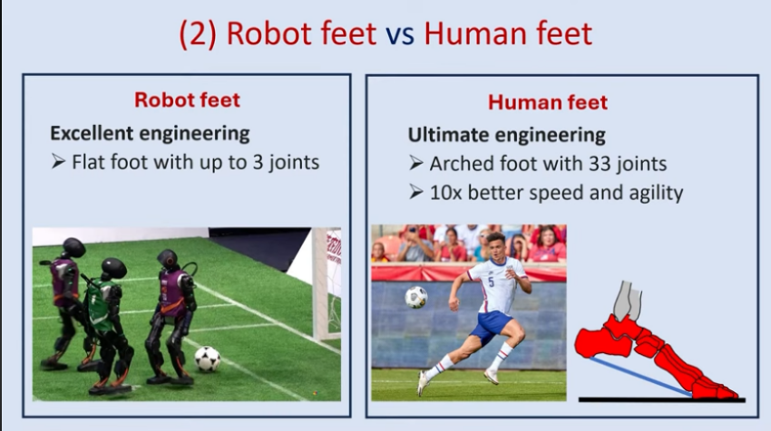 A slide shared by Stuart Burgess on comparisons between human engineering and “ultimate engineering” with regard to human feet.