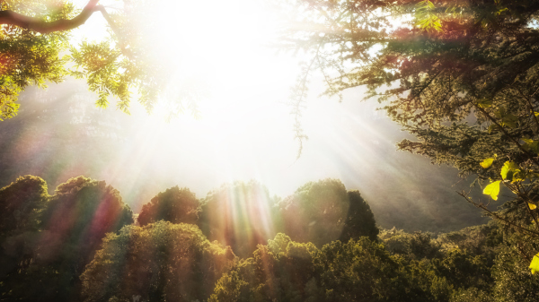 Where was the Garden of Eden?