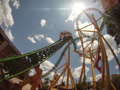 One of Cheetah Hunt's trains descending from the figure 8 element. This Intamin AG steel roller coaster is located at Busch Gardens Tampa Bay.