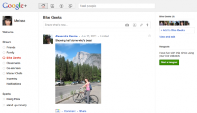 A screen shot of the Google Plus social network is shown in this publicity photo released to Reuters June 28, 2011.
