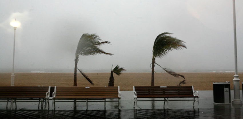 Trees are affected by the early effects of Hurricane Irene on the empty board walk in Ocean City, Maryland, August 27, 2011. National Hurricane Center Director Bill Read said Irene, which will be the first significant hurricane to affect the populous Northeast in decades, would lash the Atlantic seaboard with tropical storm-force winds and a "huge swath of rain" from the Carolinas to New England.