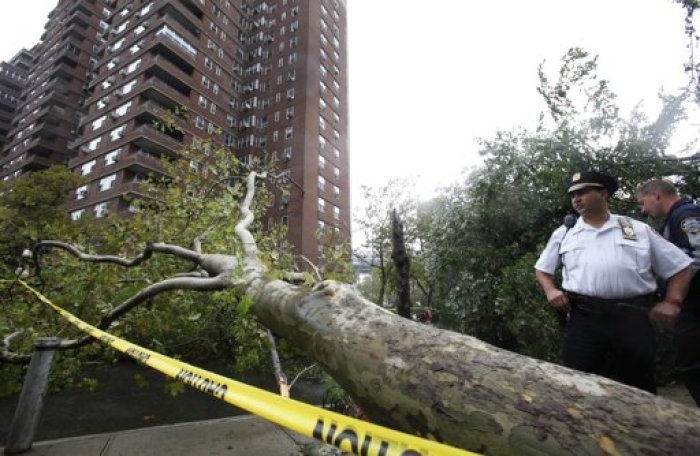 Police survey a downed tree on Grand Steet on the East Side of Manhattan after Hurricane Irene passed over the New York City area August 28, 2011. Hurricane Irene battered New York with heavy winds and driving rain on Sunday, knocking out power and flooding some of Lower Manhattan's deserted streets even as it lost some of its strength. Irene was downgraded to a tropical storm on Sunday morning but was still sending waves crashing onto shorelines and flooding coastal suburbs.