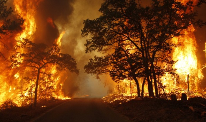 Flames roar near Bastrop State Park as a wildfire burns out of control near Bastrop, Texas September 5, 2011. An estimated 1,000 homes are being threatened in Bastrop County, just east of Austin, as a 14,000-acre (5700-hectare) wildfire rages out of control, causing evacuations.