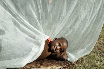 A boy sitting under an insecticide treated bed net.