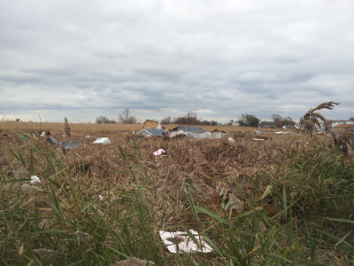 This picture shows roofs and decks that were ripped off of people's homes and thrown into this field during Hurricane Sandy. This picture was taken on the Fox Beach area of Staten Island