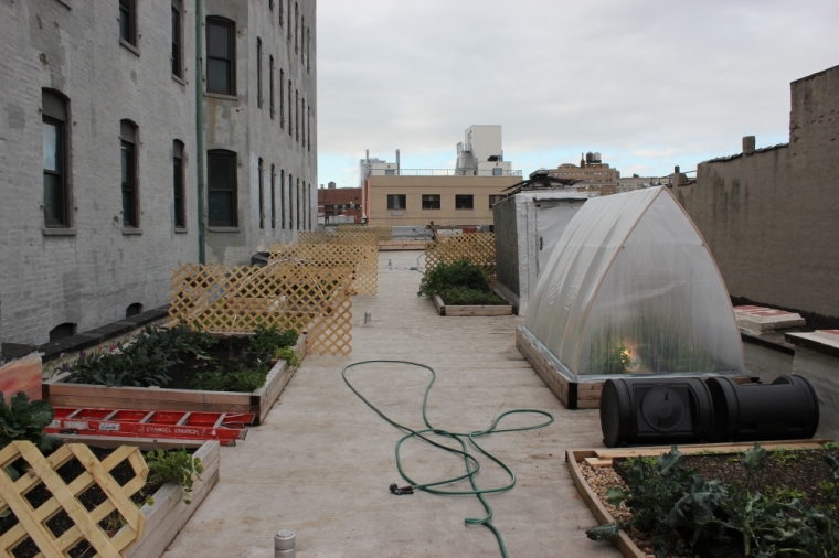 Rooftop Garden at The Bowery Mission in Lower Manhattan growing various produce - photo taken Nov. 19, 2012.