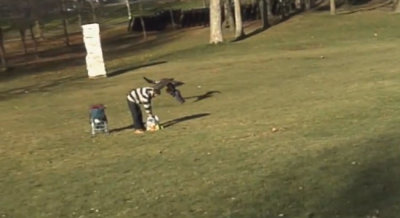 A Golden Eagle is seen on tape snatching a small child from off the ground in this YouTube video grab. The video was published on YouTube on Dec. 18, 2012.