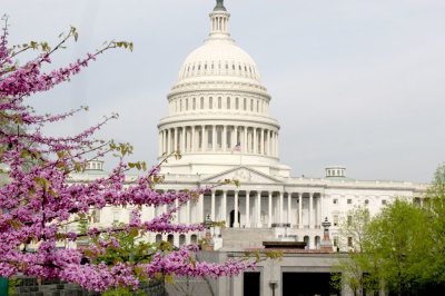 The U.S. Capitol, Washington, D.C., April, 17, 2013.