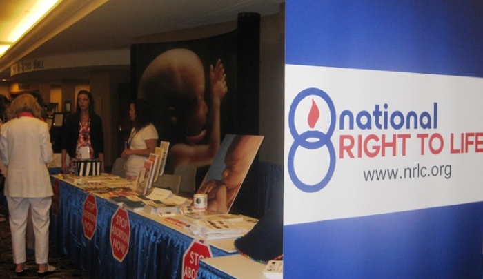 Exhibitors walk by the National Right to Life visitors' booth at the 43rd annual National Right to Life Convention in Dallas, Texas, June 27, 2013.