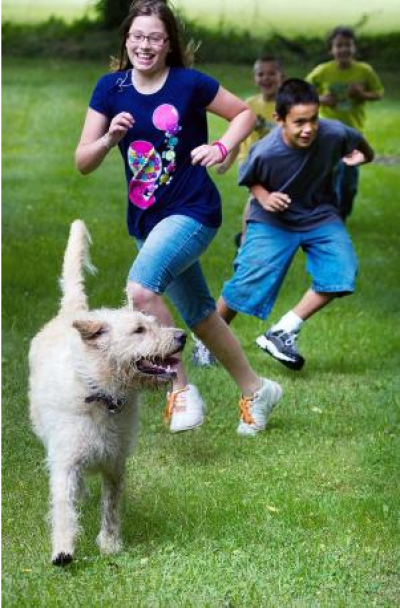 Kara Funk, 12, and, Zack Moreno, 11, are led by Obi, the youth ministry labrador during a lawn game at Kreutz Creek Presbyterian Church.
