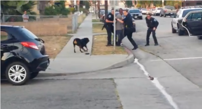Moments before Leon Rosby's beloved Rottweiler, Max (left) is shot by Hawthorne Police officers in Southern California on Sunday June 30, 2013.
