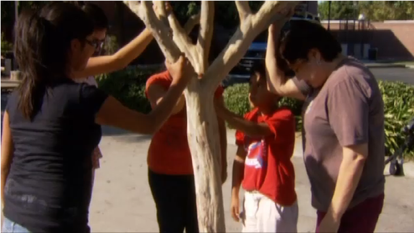 Catholics worship under the 