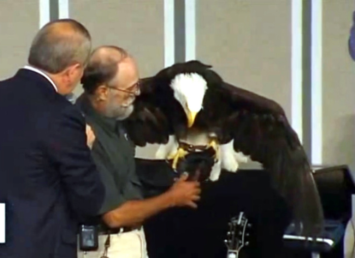 ORU President Dr. William M. Wilson looks on as a bald eagle named Lewis sits on the arm of his trainer, Roger Wallace of the World Bird Sanctuary in St. Louis, Mo. The pair made an appearance at Oral Roberts University in Tulsa, Okla., for a special chapel service. Lewis startled students when he crashed into a window, but was unharmed.