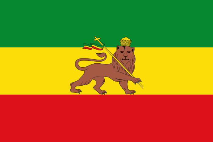The Lion of Judah Ethiopian flag.