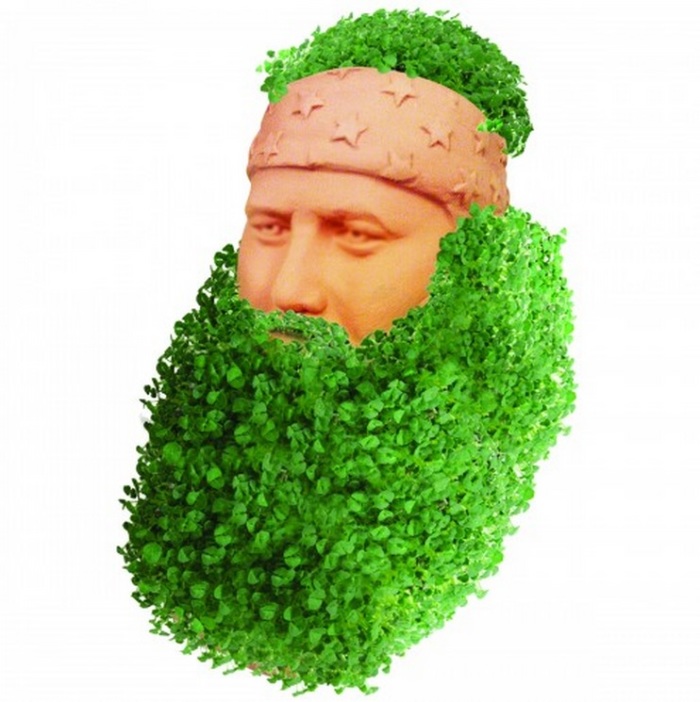 Duck Dynasty Willie Robertson Chia Pet.