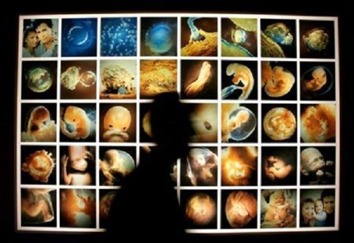 A doctor is silhouetted as he walks past a poster showing images of the development of a human fetus in a file photo.