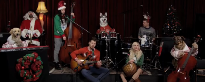 Walk off the Earth plays 'Little Drummer Boy' with the help of dogs.