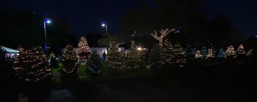Oasis Church in Pembroke Pines, Fla., has made the Guinness Book of World Record with 546 "live cut lit trees" on Dec. 7, 2013.