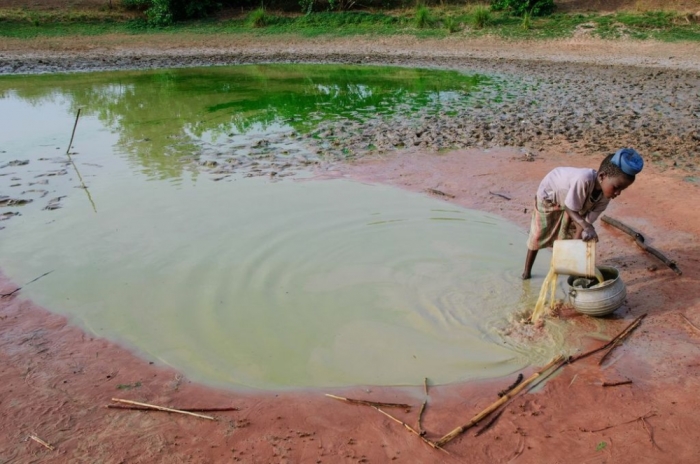 In Kpalang village, Ghana, the only water source is this dirty pond. The water tastes foul and is the color of green pea soup. Nearly every family seems affected by the Guinea worm in this remote farming village of 600 people.
