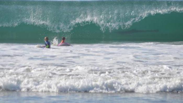 A possible shark photo bombs kids at Manhattan Beach on Dec. 27, 2013.