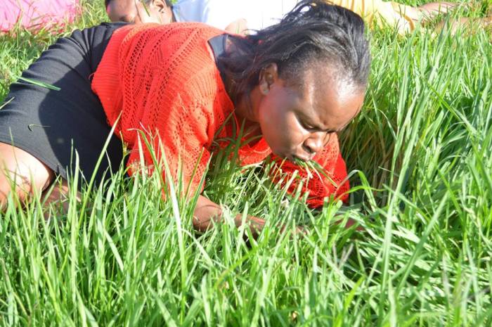 A woman eats grass at the Rabboni Centre Ministries Church in South Africa.