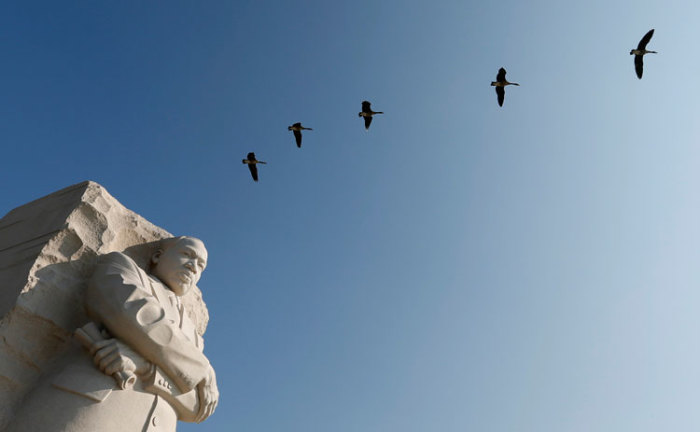Geese fly over the the Martin Luther King Jr. Memorial in Washington on August 20, 2013. The Rev. Dr. Martin Luther King, Jr. delivered his 'I have a Dream' speech on August 28, 1963, on the steps of the Lincoln Memorial during the march on Washington for Jobs and Freedom.
