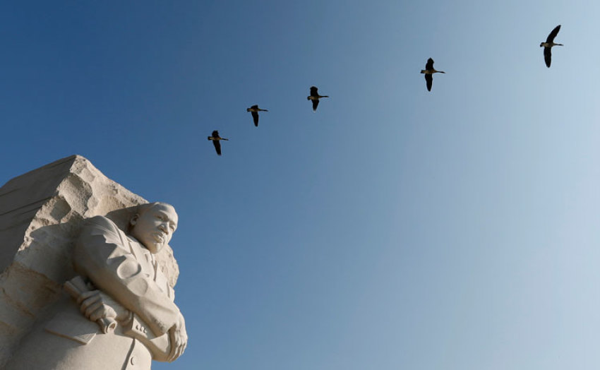 Geese fly over the the Martin Luther King Jr. Memorial in Washington on August 20, 2013. The Rev. Dr. Martin Luther King, Jr. delivered his "I have a Dream" speech on August 28, 1963, on the steps of the Lincoln Memorial during the march on Washington for Jobs and Freedom.
