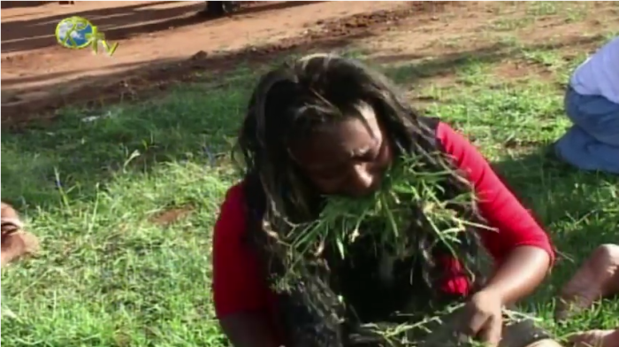 A member of Pastor Lesego Daniel's Rabboni Centre Ministries in South Africa eats grass like an animal at her pastor's command.