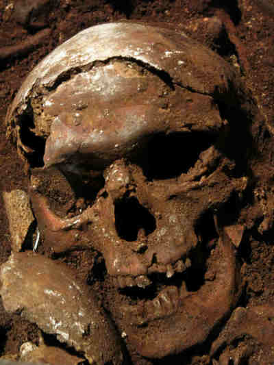 A human skull discovered in the Catacomb of Saints Peter and Marcellinus in Rome is seen in this photo.