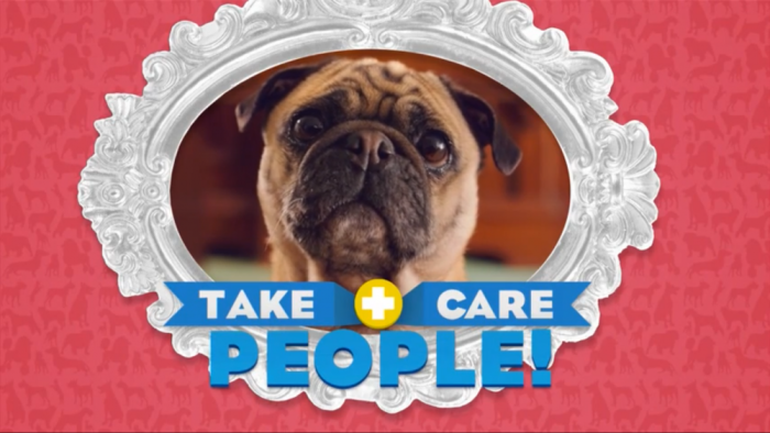Get Covered America ad featuring singing animals screengrab.