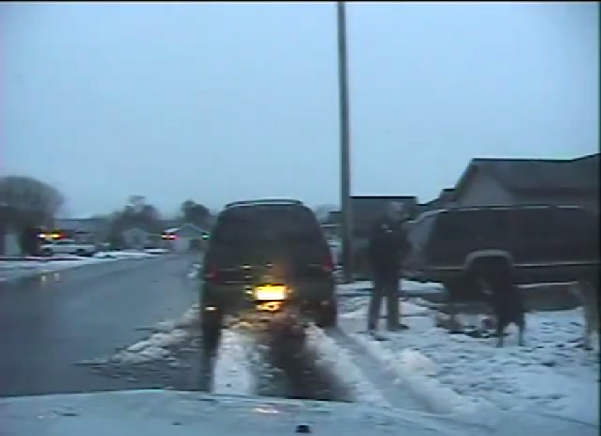 Filer police officer shoots dog.